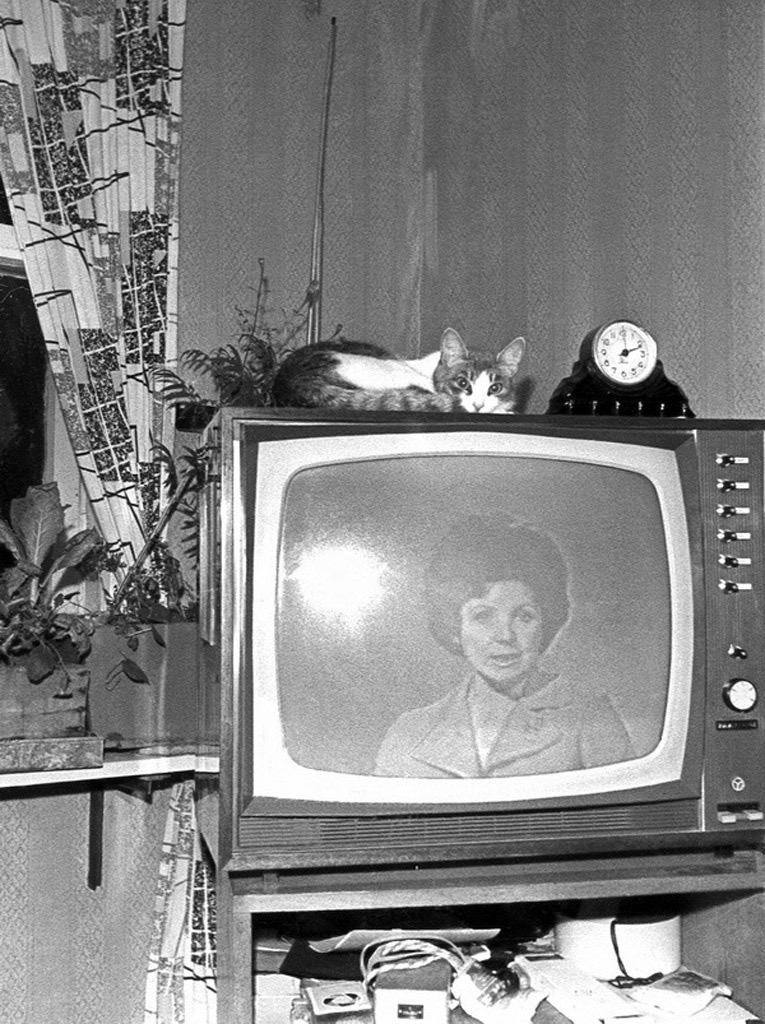 photo_2024-02-19_04-52-32.jpg