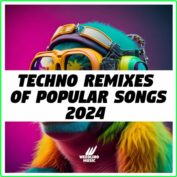 Mister Mijaga Techno Remixes Of Popular Songs (2024) WEB [320 Kbps] 8c938773bba2022559b4ab3e72f8ea46