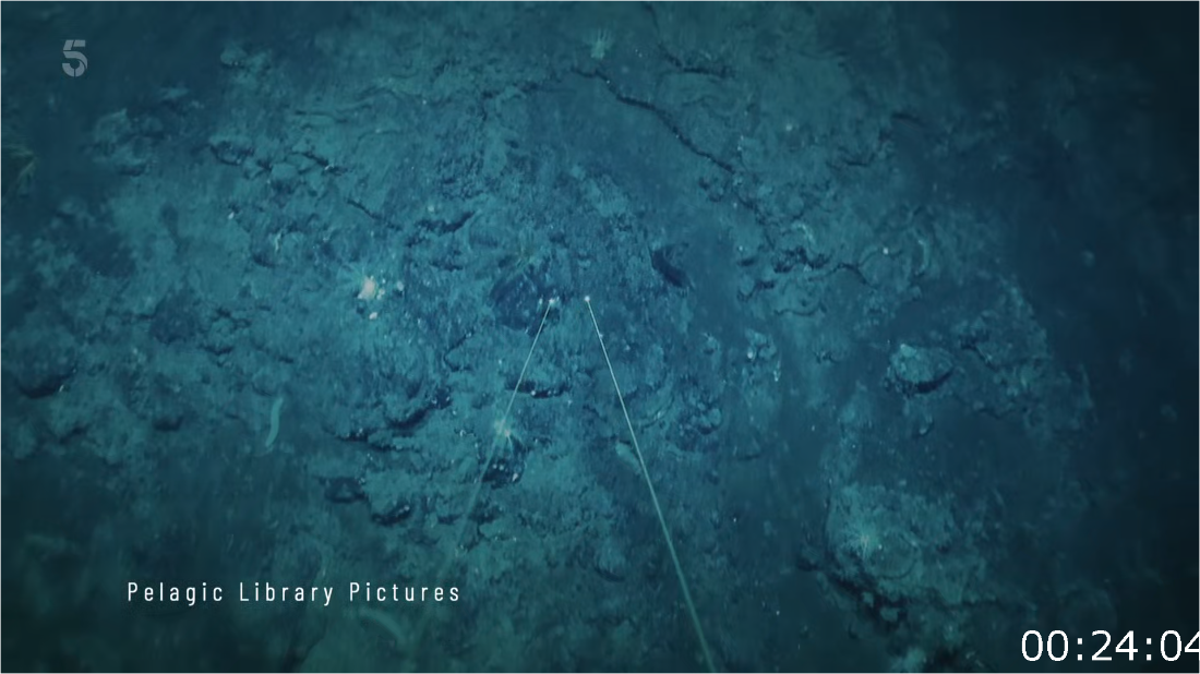 The Titan Sub Disaster Minute By Minute S01E02 [1080p] (x265) 69a722f1ab8581b8dfb9e4b66661084a