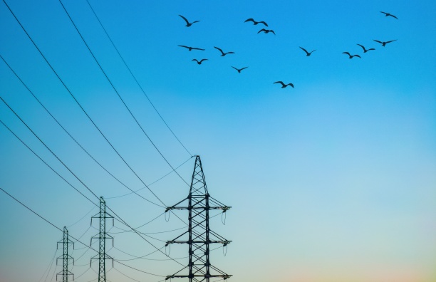 Энергетики «Россетей» переведут 1,8 тысяч домов в Улан-Удэ на электроотопление до конца года