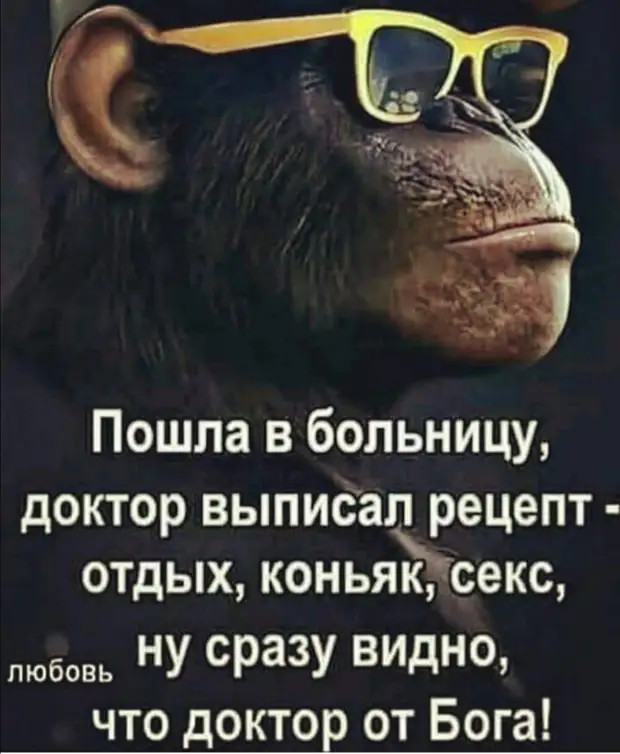 https://i7.imageban.ru/out/2024/03/31/261db053b7dcbf2485604bc160d2e526.jpg