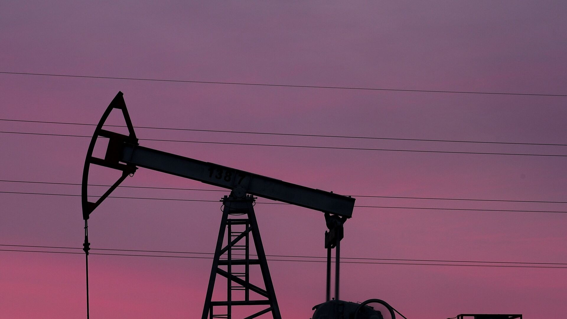ОПЕК оценили динамику добычи нефти и конденсата в России в 2024 году