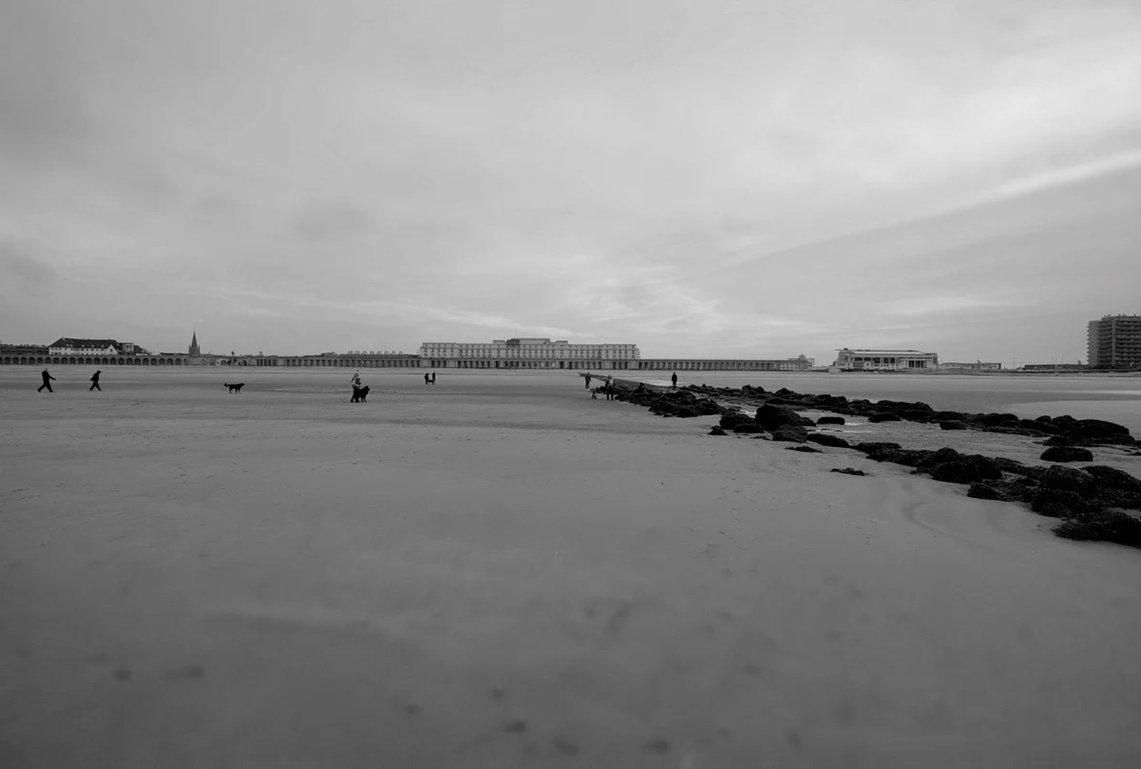 IMG_20230808_173334.jpg