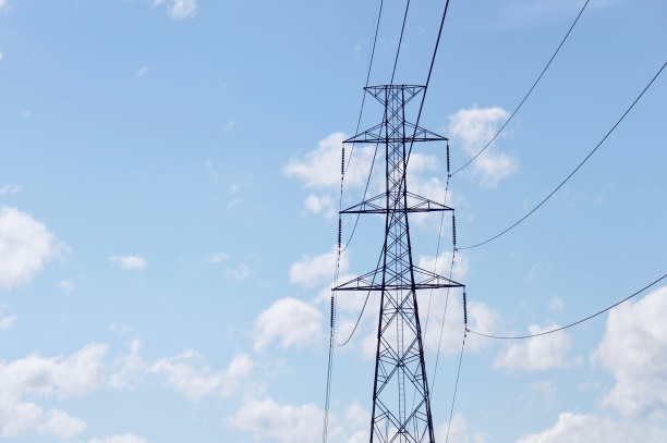  «Россети Ленэнерго» приняли на обслуживание 90 км электросетей за первые три месяца 2024 года