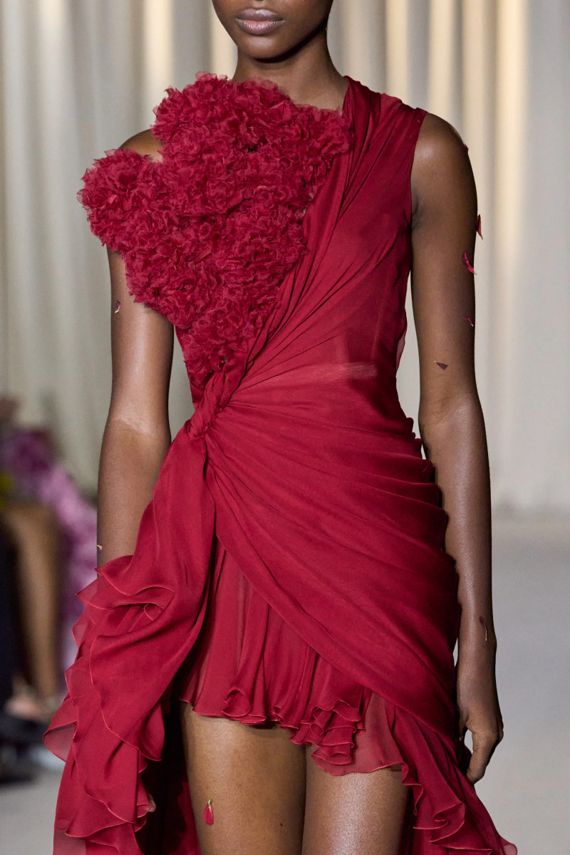 00030-giambattista-valli-fall-2024-couture-details-credit-gorunway.webp