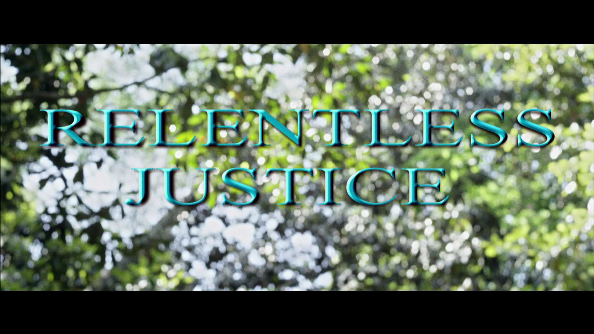 Relentless.Justice.2015.Ascot.Elite.Home.Entertainment.BDRemux.1080p[(000190)2024-08-31-10-26-34].PNG