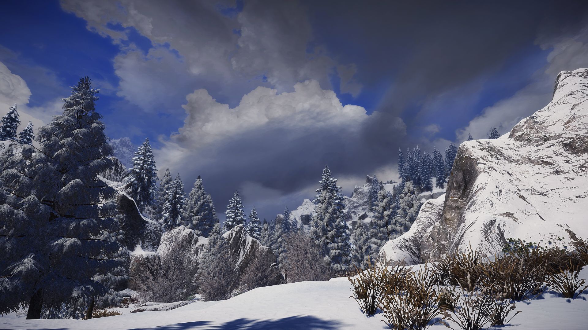 The Elder Scrolls V  Skyrim Special Edition Screenshot 2024.03.08 - 14.37.38.25.jpg