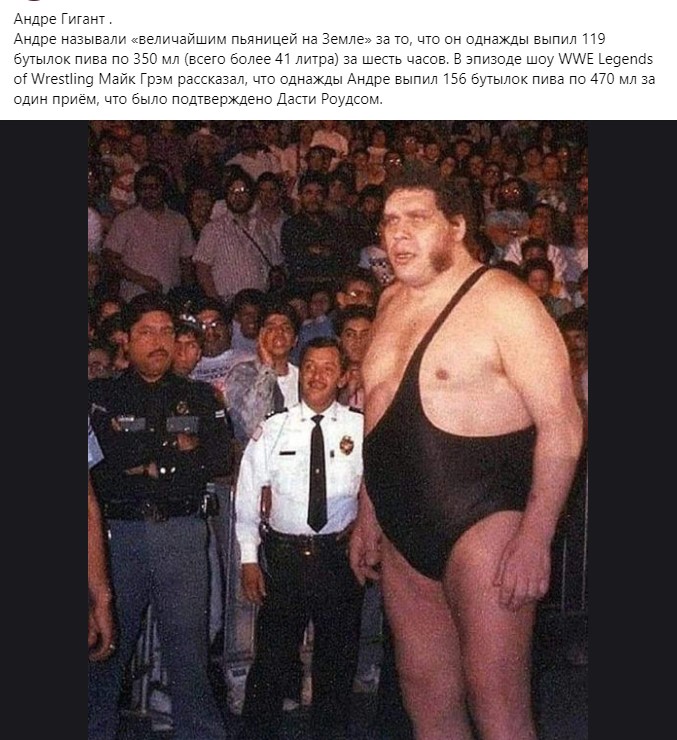 https://i7.imageban.ru/out/2024/09/09/1fc54c7230e184ac7a6cd69e47cec27e.jpg