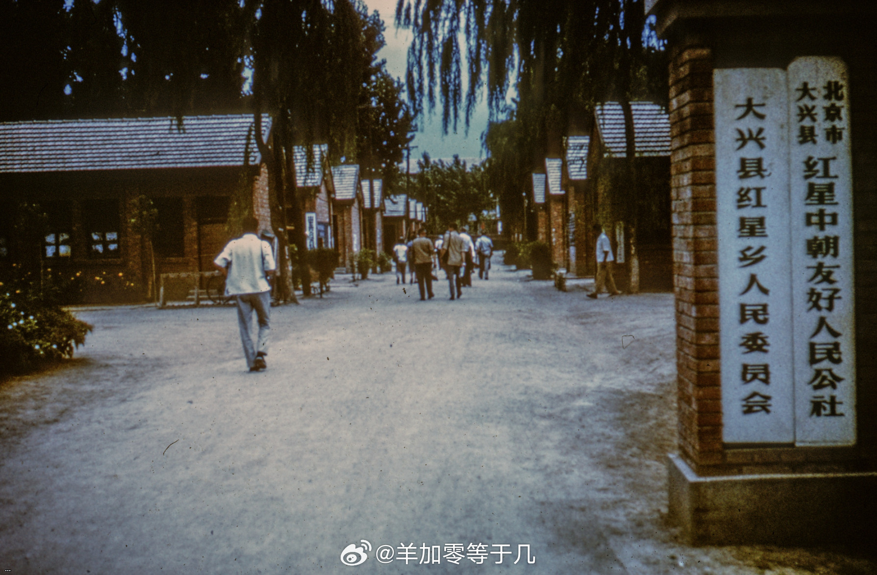????????????????1965.jpg