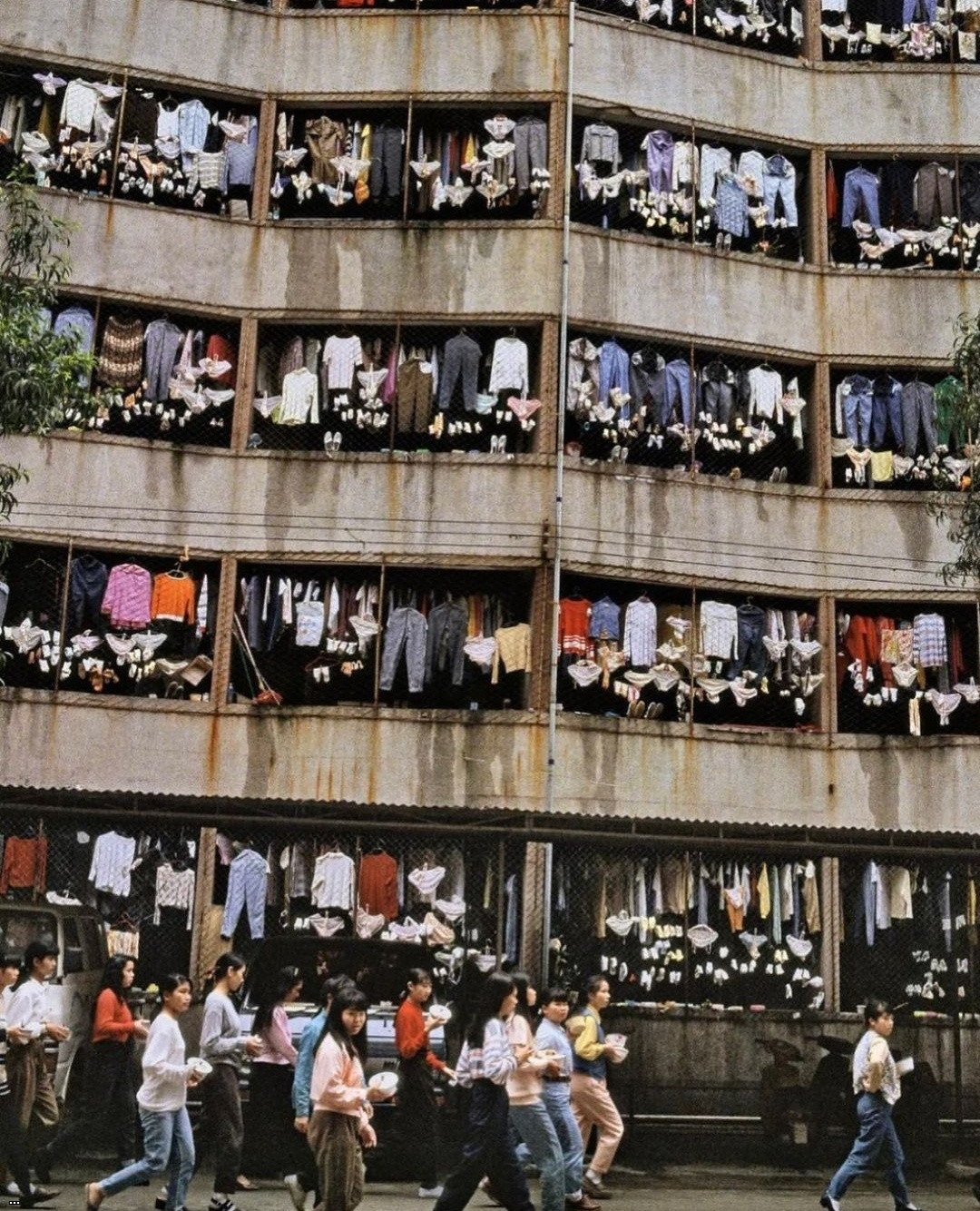 1986??????????.jpg