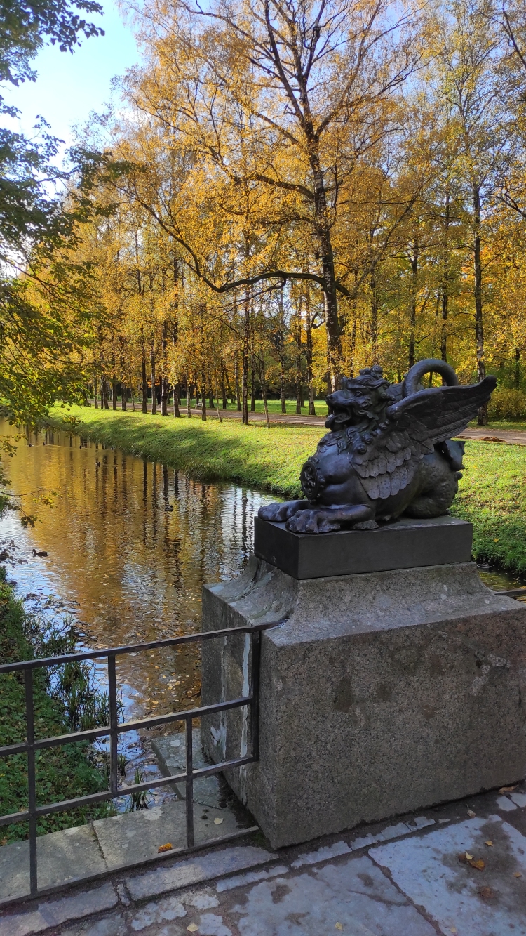 2024-10-12 13-48-14.JPG