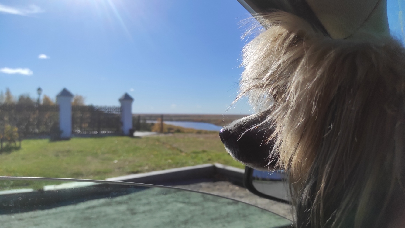 2024-10-02 12-58-27.JPG