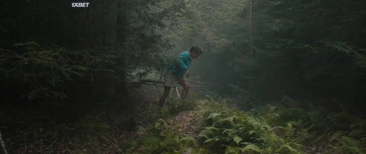Lost.on.a.Mountain.in.Maine.2024.Dt.WEB-DLRip.14OOMB.avi_20241229_104225.207.png