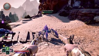 Avowed [v 2.0.0.0 + DLC] (2025) PC | RePack by Wanterlude