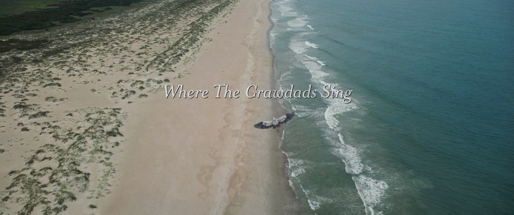 Там, где раки поют (2022) BDRip-AVC_ivanes.mkv_20250216_055623.363.png