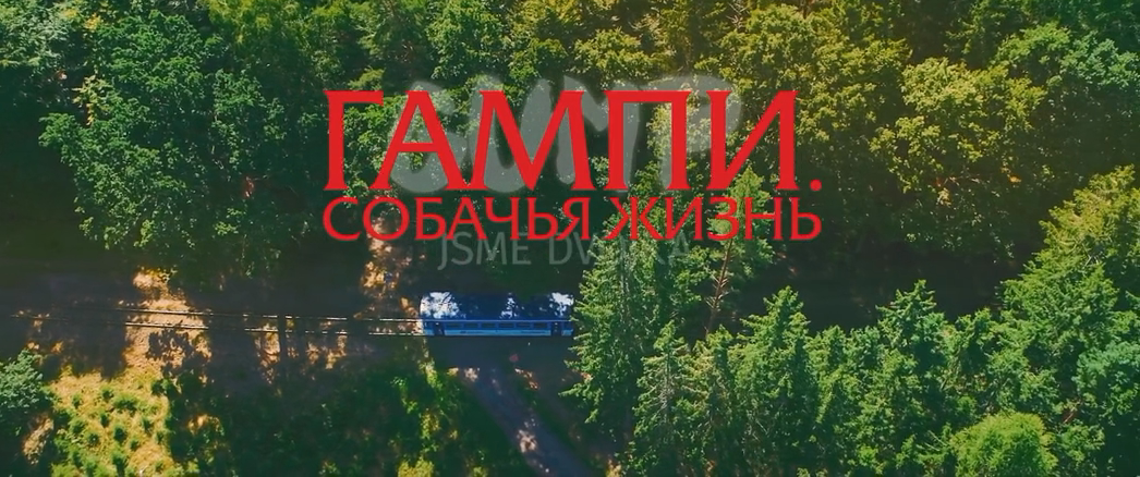 Гампи. Собачья жизнь (2024) WEB-DLRip-AVC_ivanes.mkv_20250303_015424.597.png