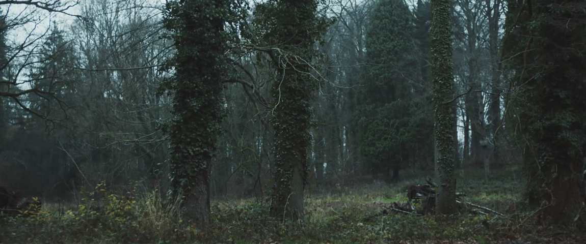 Неспокойной ночи (2023) HDRip-AVC_ivanes.mkv_20250312_181043.426.png