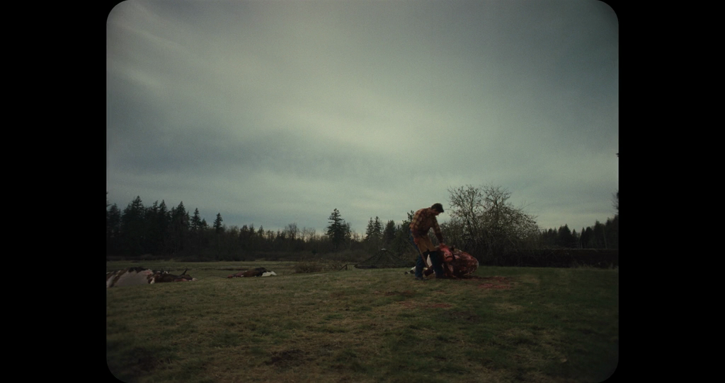 Клик для увеличения