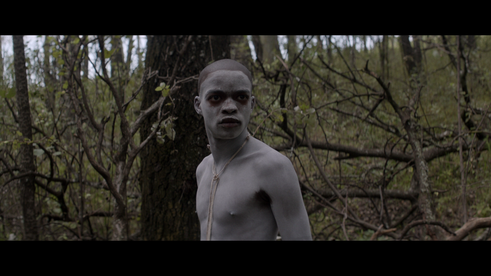 Inxeba.2017.Kino.Lorber.BDRemux.1080p[(051036)2025-04-11-09-11-37].PNG