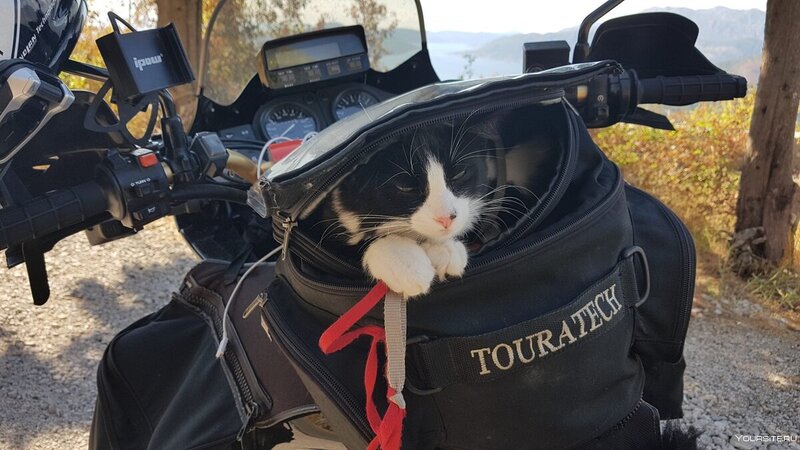 scale_1200 (30) (1).jpg