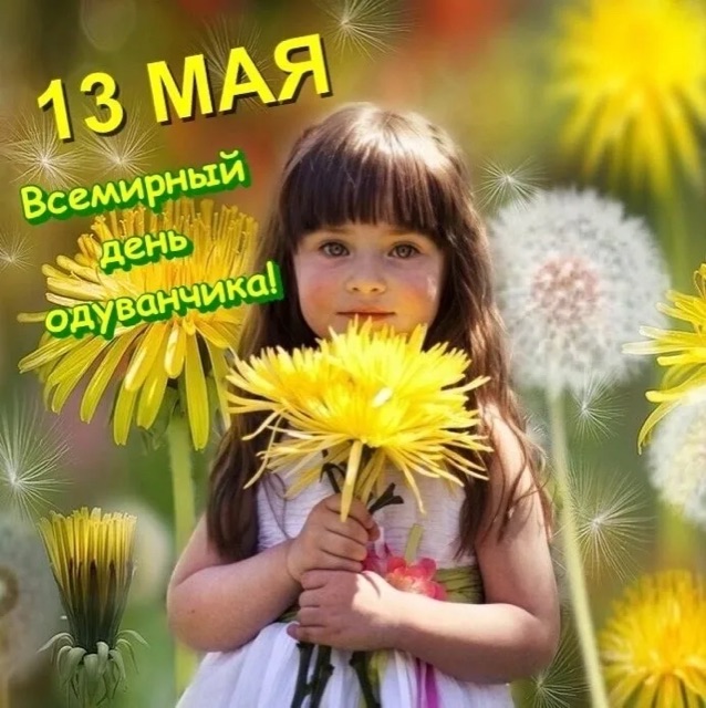 https://i7.imageban.ru/out/2025/05/13/27431ed54d0e873f42ed74c86b97613f.webp