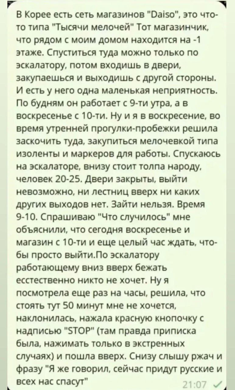 https://i7.imageban.ru/out/2025/05/19/8f04a7e7cb64b7856e9b7b8c3af40d36.jpg