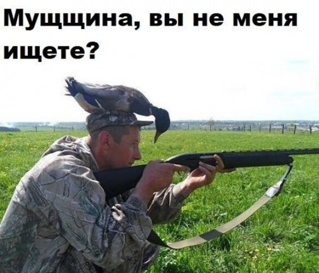 изображение_2025-05-21_182819280.png