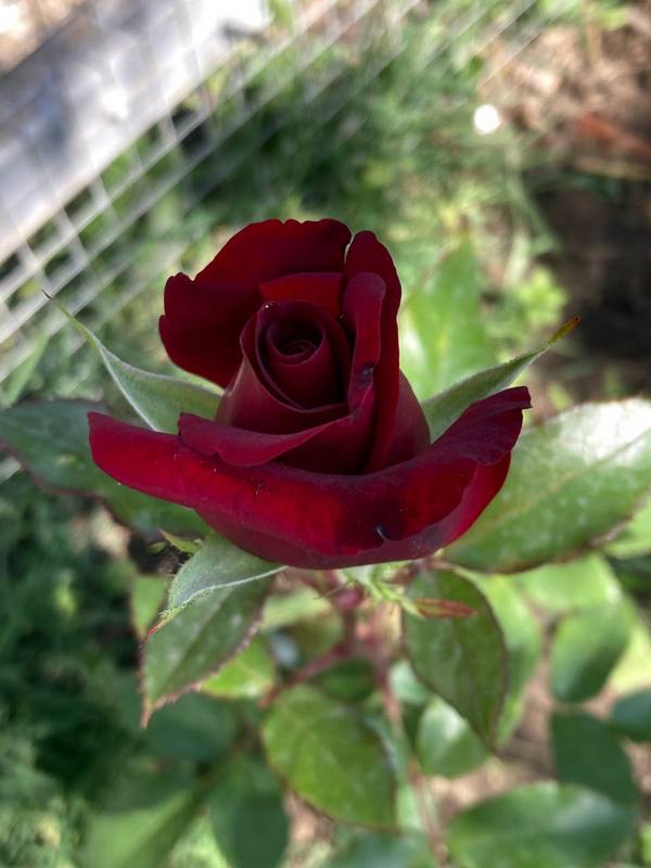 8d75bb250dcd3de7a1e89204a8c7f88f.jpg