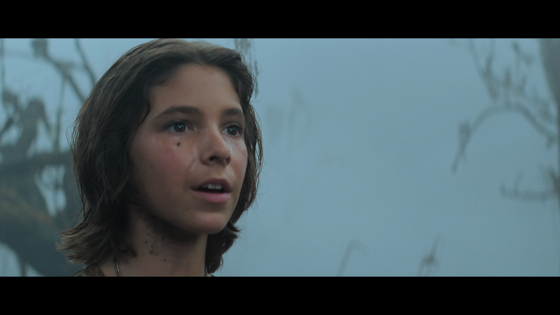 The.Neverending.Story.1984.Imprint.BDRemux.1080p.US.International.Cut[(050326)2025-06-08-13-43-05].PNG