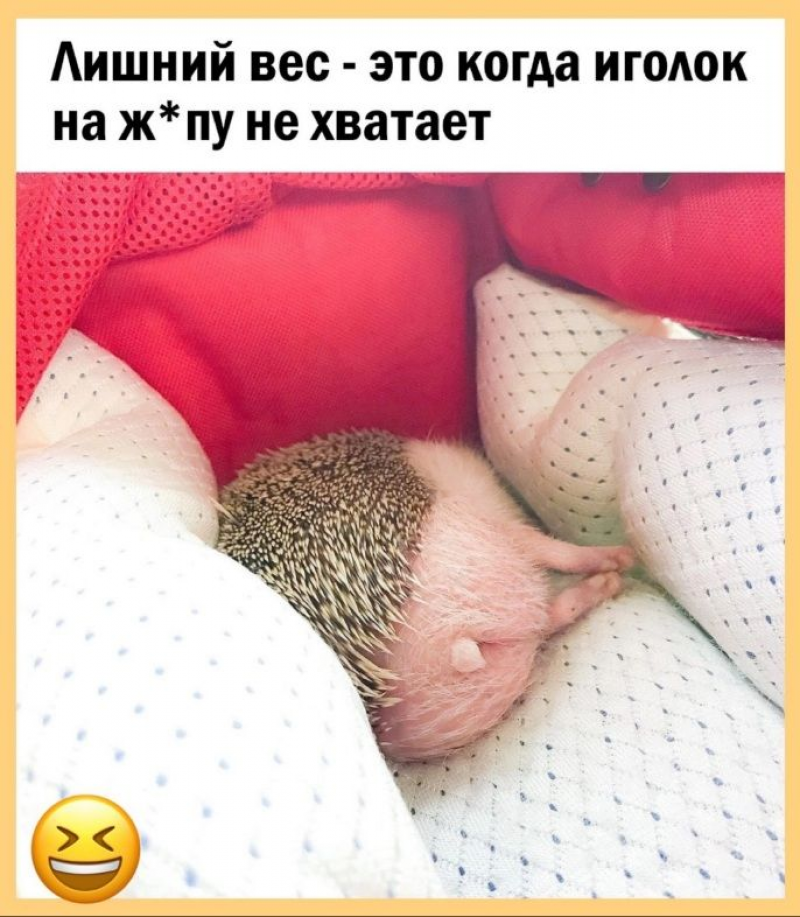 изображение_2025-06-12_154815786.png