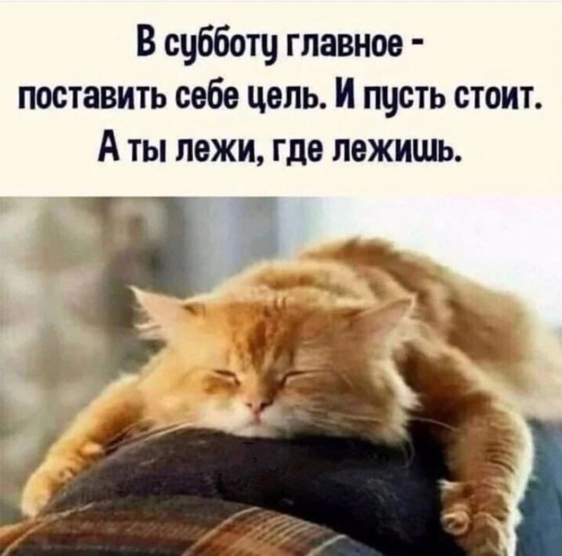 изображение_2025-06-12_154606827.png