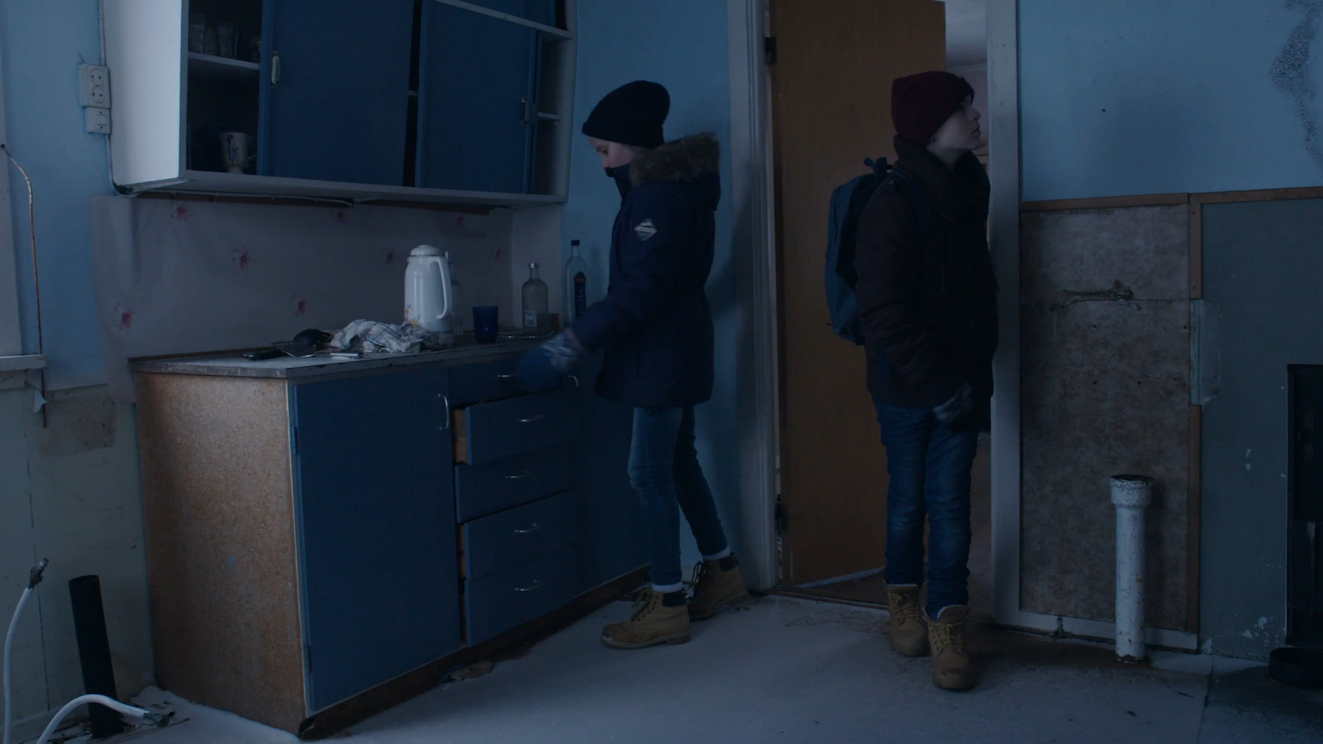 Villdyr 2017 WEB-DL 1080p.mkv_snapshot_03.20.png