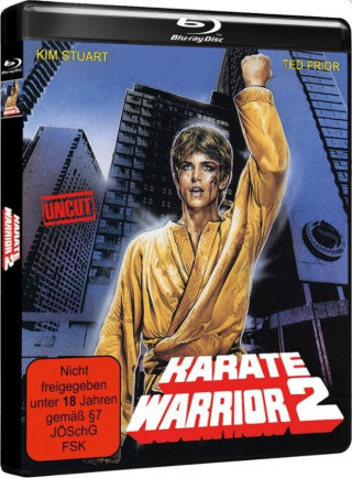 Il ragazzo dal kimono d'oro 2 (1988) .mkv HD 720p HEVC x265 AC3 ITA-ENG