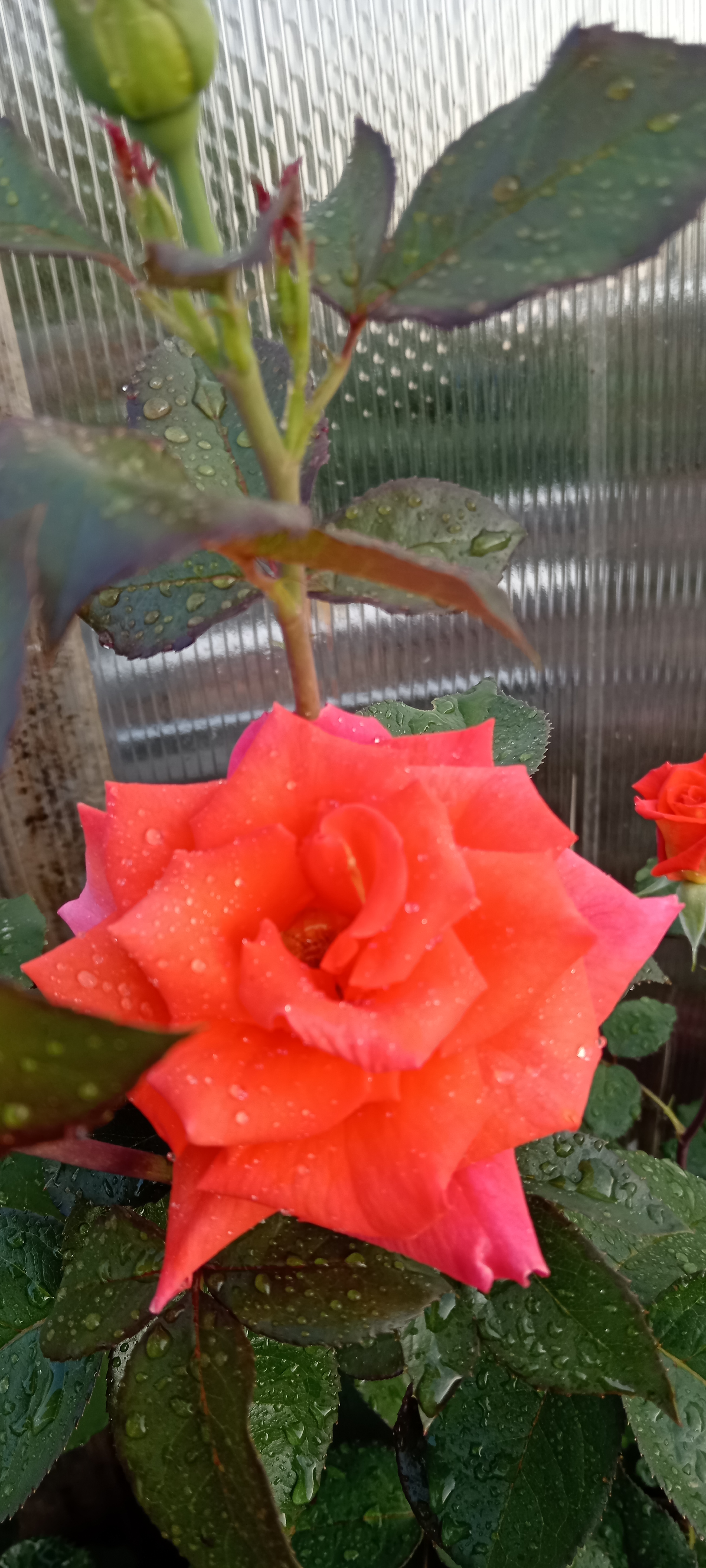 https://i7.imageban.ru/out/2025/06/14/fd49e7945381c5b6566d10826d089561.jpg
