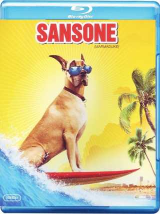 Sansone (2010) BD-Untouched 1080p AVC DTS HD ENG DTS iTA AC3 iTA-ENG