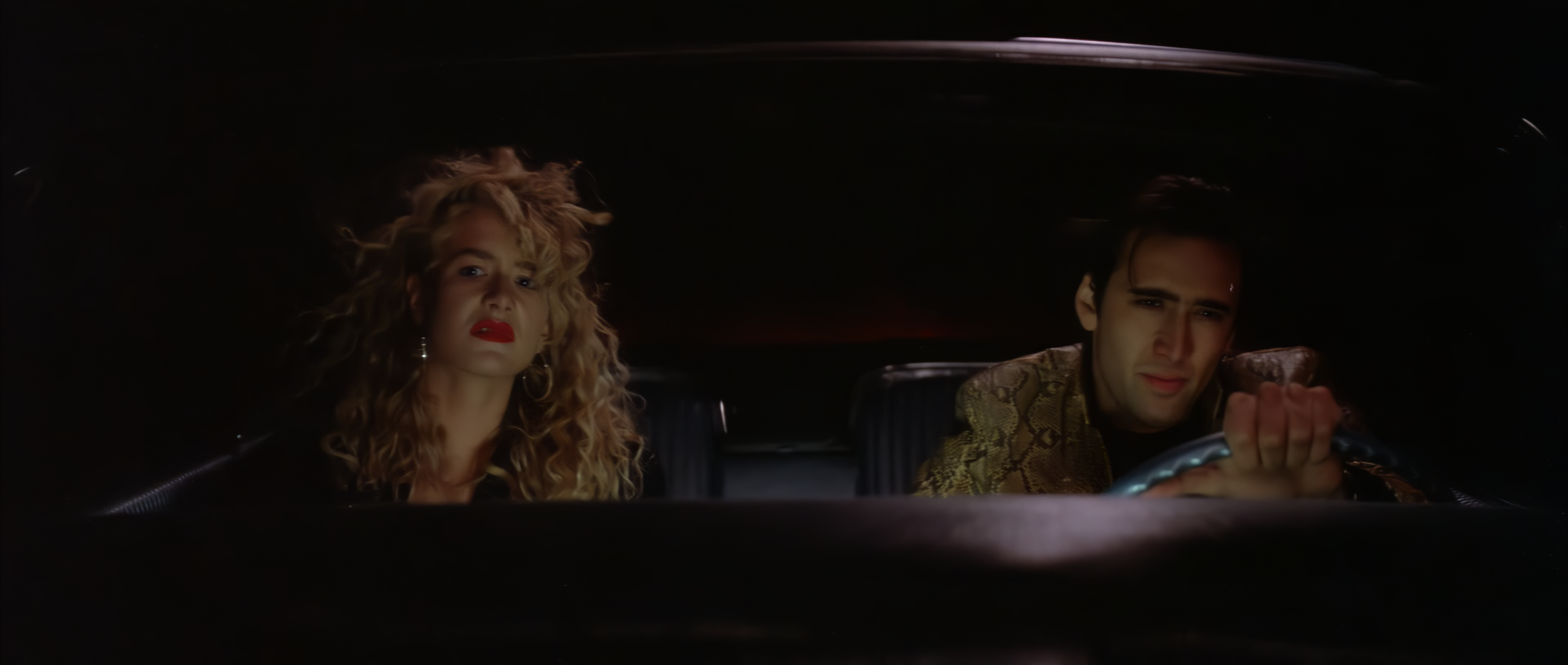 Wild at Heart (1990) -3.png