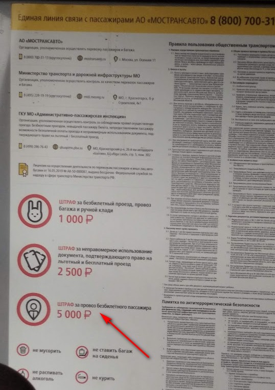 https://i7.imageban.ru/out/2025/07/13/a16e2a5f10b39f0fdf9457f9d99426be.jpg