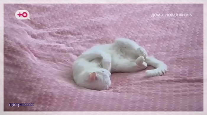 https://i7.imageban.ru/out/2025/07/24/243a65ff3fab515d551f0a3d52356a34.jpg