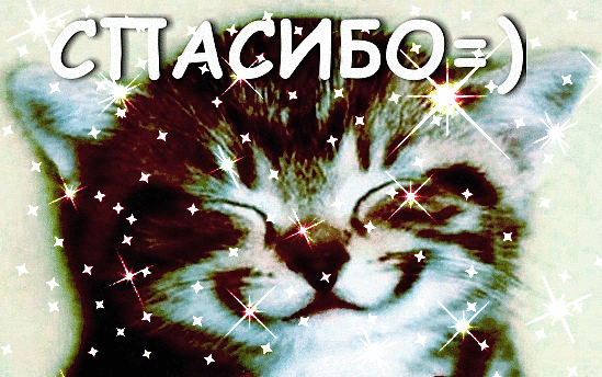 https://i7.imageban.ru/out/2025/07/31/90d5d583e95ba837d4d3b039311ac18b.gif