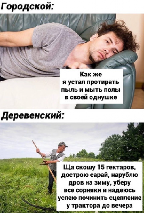 изображение_2025-08-02_004024170.png