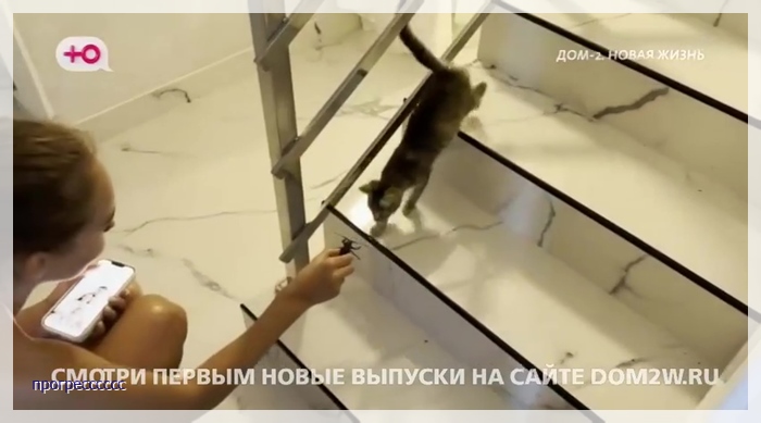https://i7.imageban.ru/out/2025/08/02/be052450357f0a04fe6e54994d82530e.jpg