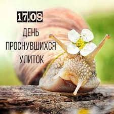 https://i7.imageban.ru/out/2025/08/17/24ec22104063b2349647cbe0bfc4f2b8.jpeg