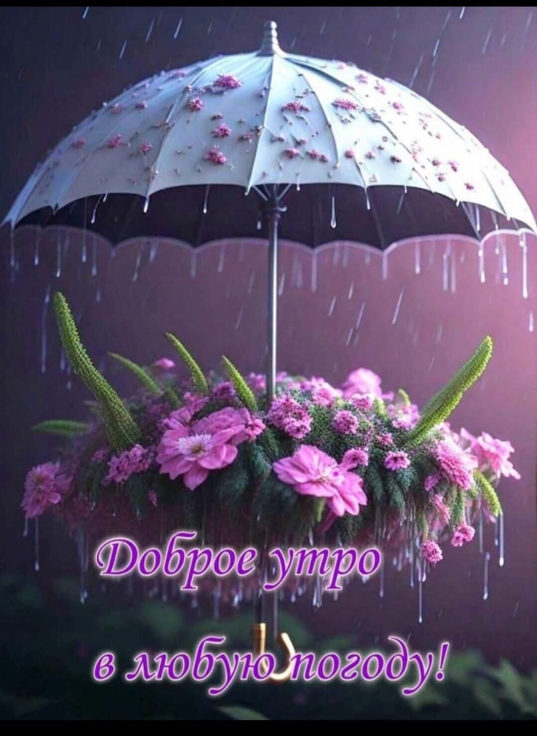 https://i7.imageban.ru/out/2025/08/18/9d86222e077771c1e35ca1ac3be454e3.jpeg