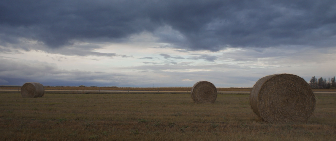 Кровавый урожай (2024) HDRip-AVC_ivanes.mkv_20250821_225917.610.png