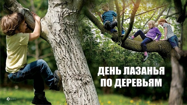 https://i7.imageban.ru/out/2025/08/25/0d34761b3f4d7a82acc294d2a8808ee0.webp
