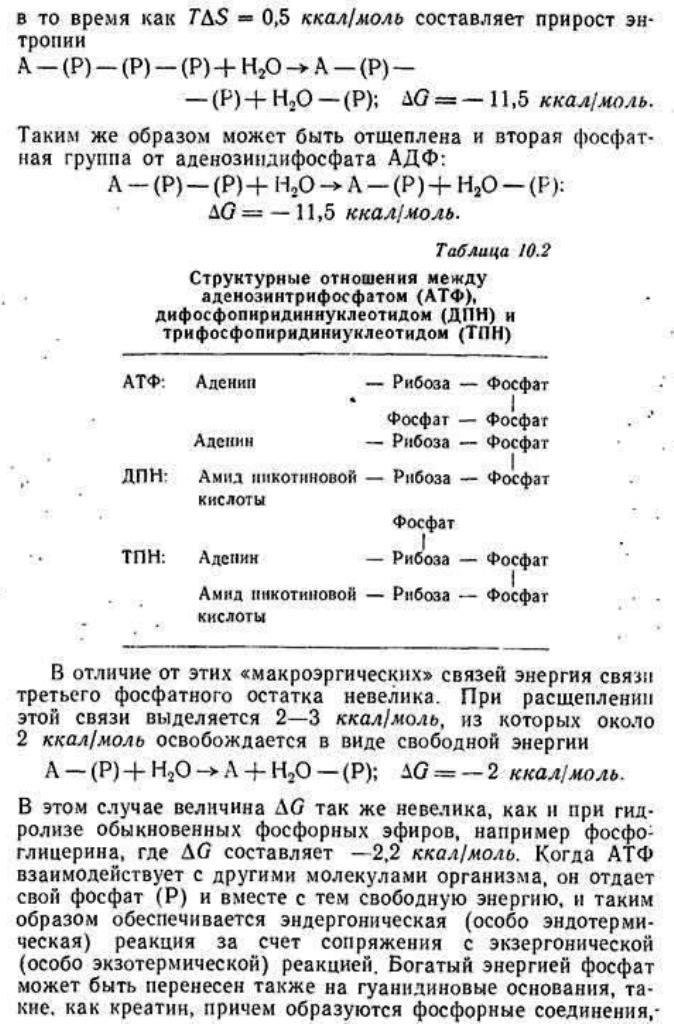 https://i7.imageban.ru/out/2025/09/01/348403204df7ef63cfde36c9b3f90741.jpg
