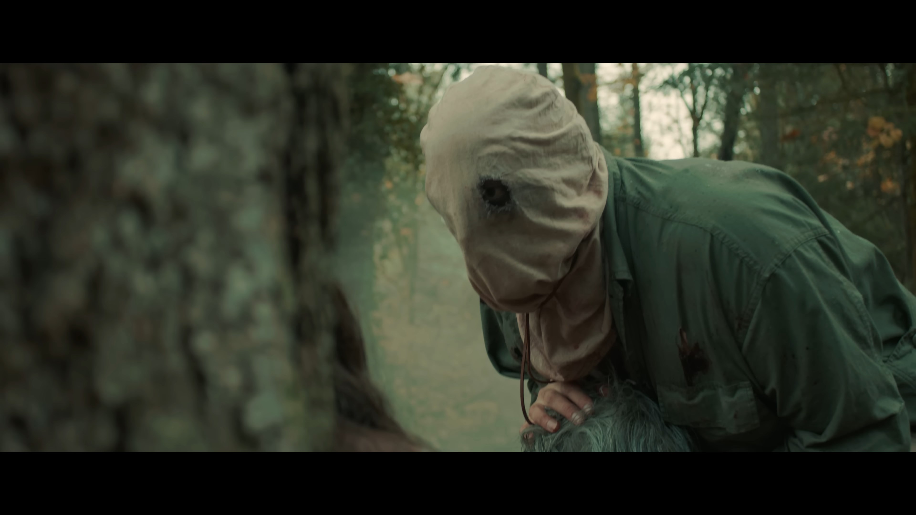 Jason Voorhees Awaken the Darkness.mkv_snapshot_00.31.49.950.jpg
