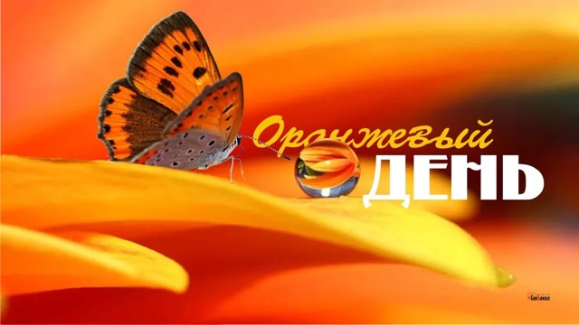 https://i7.imageban.ru/out/2025/09/05/00c1eb025281cb03ee8a43f2eec0a5bc.webp