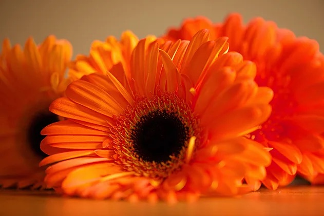 https://i7.imageban.ru/out/2025/09/05/01fef8f3495312f451697a3bc7af3b44.webp