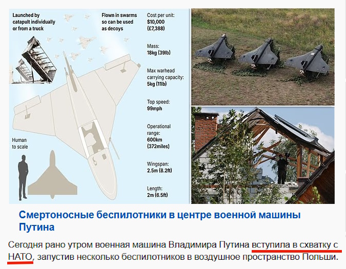 https://i7.imageban.ru/out/2025/09/10/b2fe26cc7aecc75a695db1dbcfaa2bb2.jpg